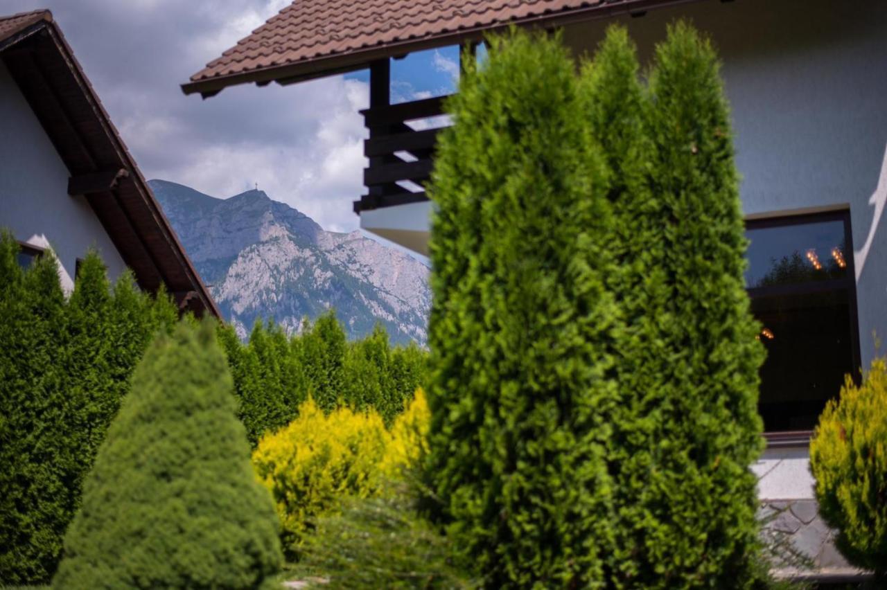 Jack Residence Buşteni エクステリア 写真