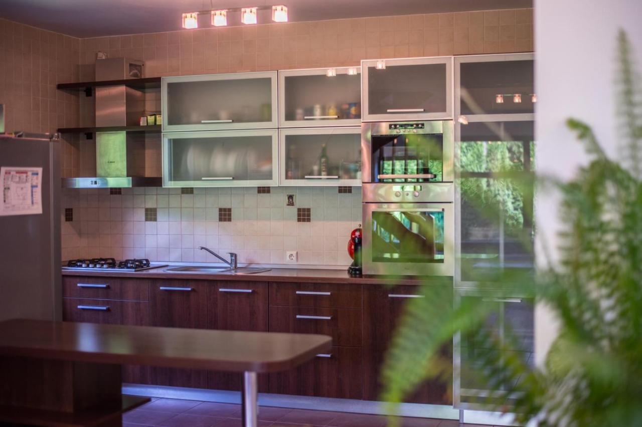 Jack Residence Buşteni エクステリア 写真