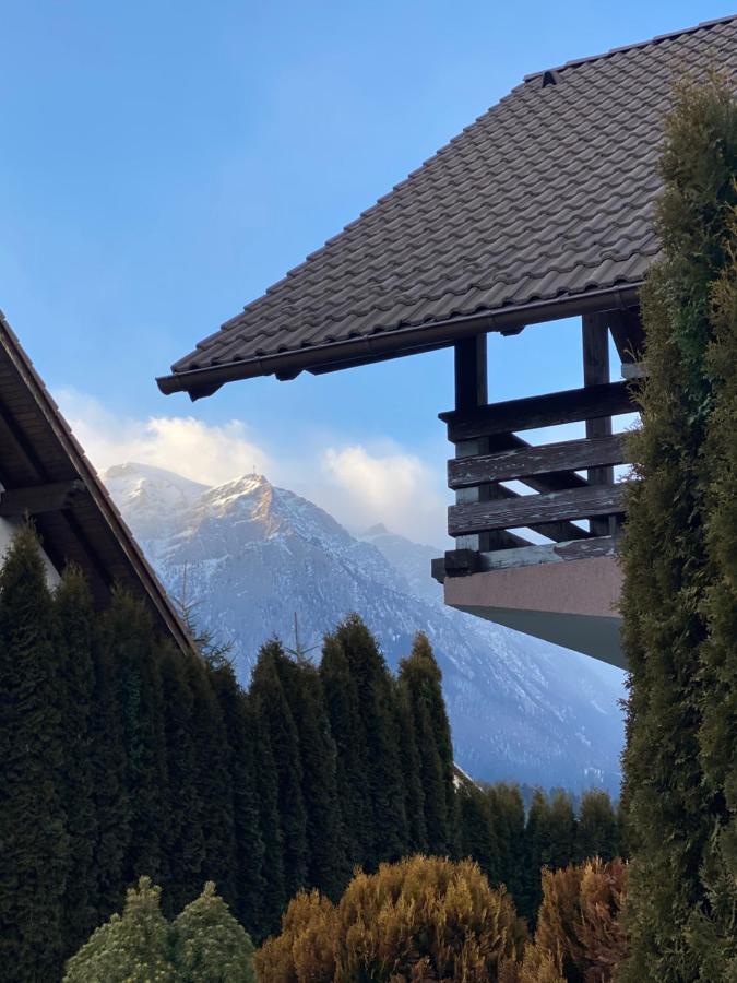 Jack Residence Buşteni エクステリア 写真