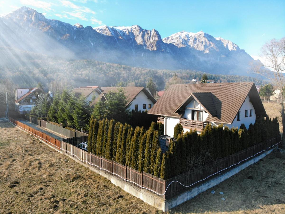 Jack Residence Buşteni エクステリア 写真