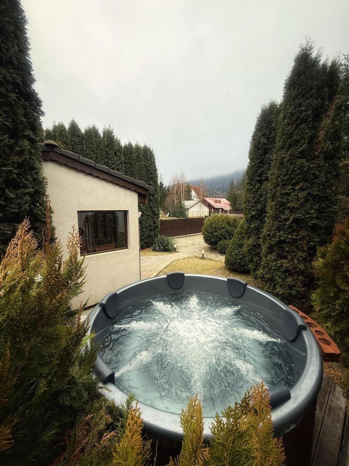 Jack Residence Buşteni エクステリア 写真
